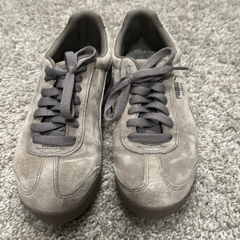 Gray pumas